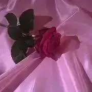 S‪‪❤︎‬の画像