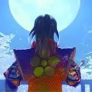 ぽんぽこの画像