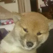 ボルト