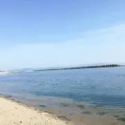 ぽん