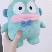 皐月の画像