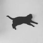 黒猫の画像