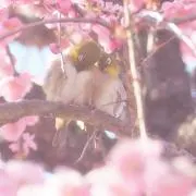ゆんちゃる♡๒(•ε•。)"の画像