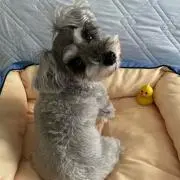 みほ