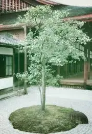 兎※プロフ参照願いますの画像
