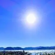 hanaの画像