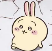 うさぎの画像