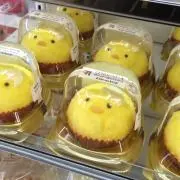 kuma112233の画像