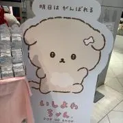 いしよわちゃんの画像
