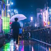わん