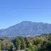 コムギの画像
