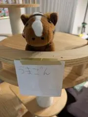 うまごんの画像