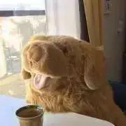 のもとの画像