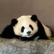 週末釣り男の画像