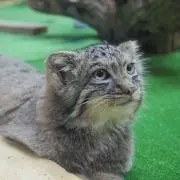 たっくまさんの画像