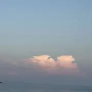 やぎの画像