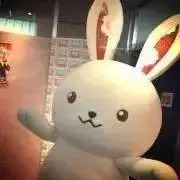 まゆんの画像