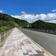 猫丸の画像