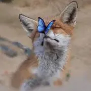 MaSaNa