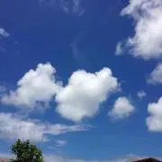 rulika_124