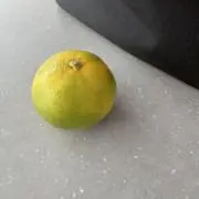 うぱの画像
