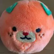 オレンジの画像