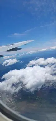 よーちんの画像