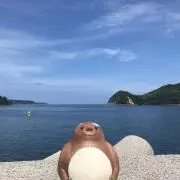 ＫＵＲAＲAの画像