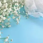 Y.A.Yの画像