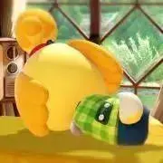 ゆきの画像