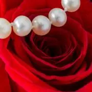 Lily Perlaリリーぺルラ