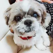 mikaaの画像