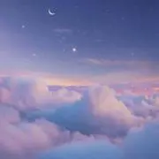 Bの画像