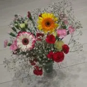 ももリン。プロフ必読。