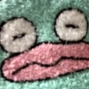 みほ