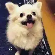 yasunoriの画像