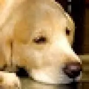 Nao