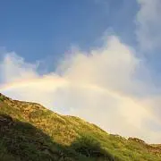 ペアの画像