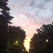MHYSBI