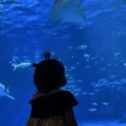 あーみんの画像