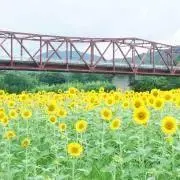 もみ☺︎の画像