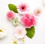 ラテママの画像