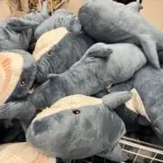 蒼の画像