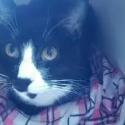 ゆー。