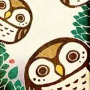 ぽっけ