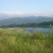 ゆき。