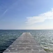 りんごの画像
