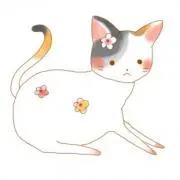 RISA
