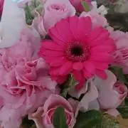 はなきゃべつ