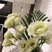 まめママの画像
